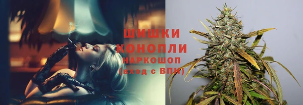 гидра Баксан