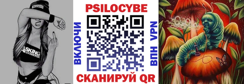 Псилоцибиновые грибы Cubensis  Шимановск 